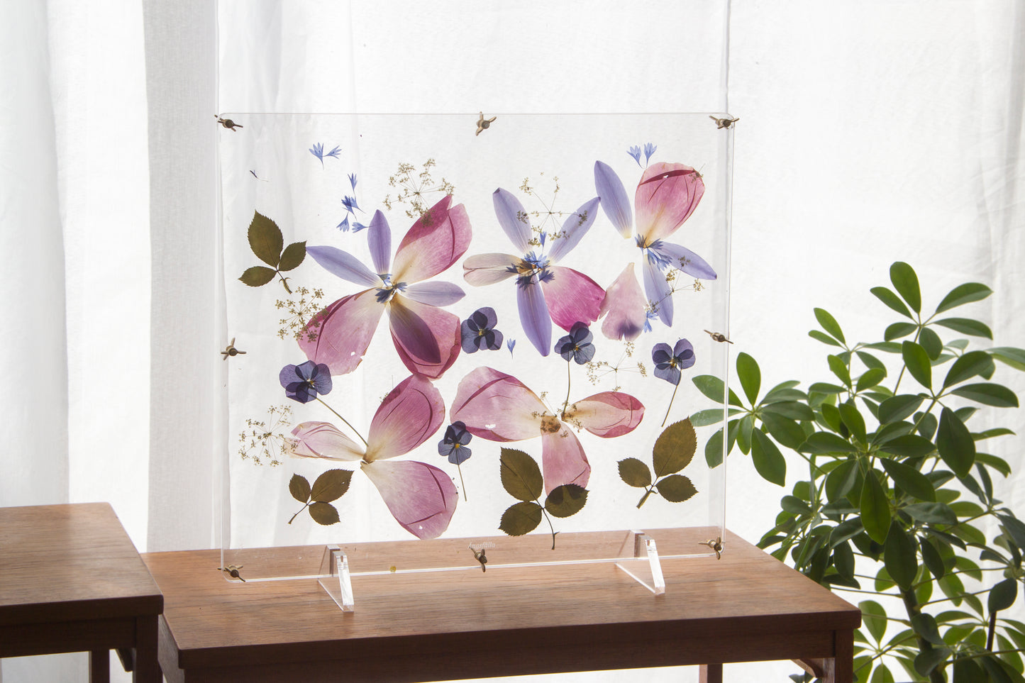 Ängsfälla Fönster